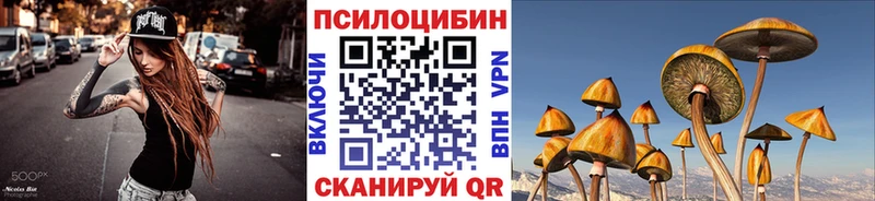 сколько стоит  Мураши  Псилоцибиновые грибы Psilocybe 